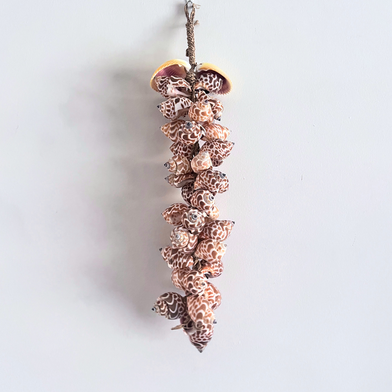 Decorative shell Garland hanging on a white wall