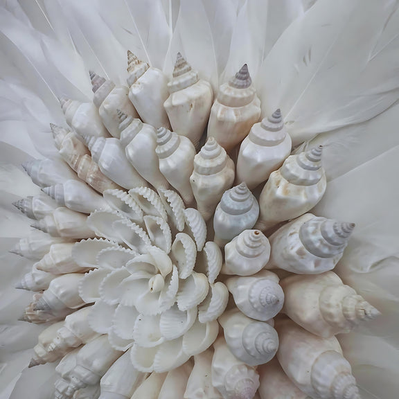 Oasis feather and shell wall decor, juju, coastal boho homewares, shell detail