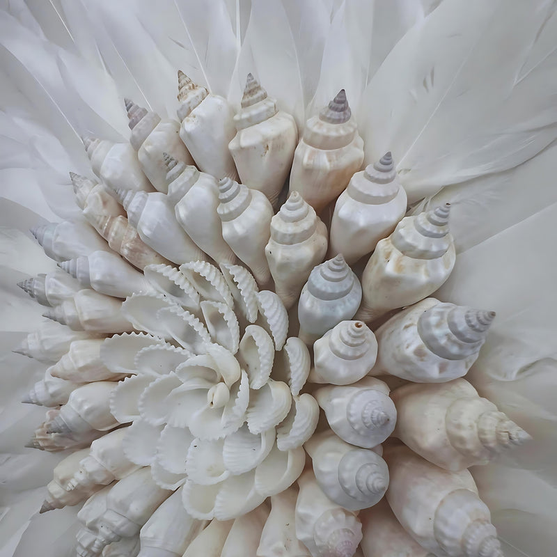 Oasis feather and shell wall decor, juju, coastal boho homewares, shell detail