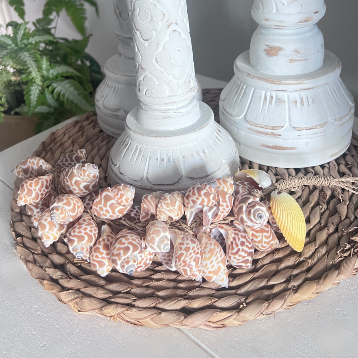 Decorative arrangement with seashells on a woven mat, white candle holders in the background.