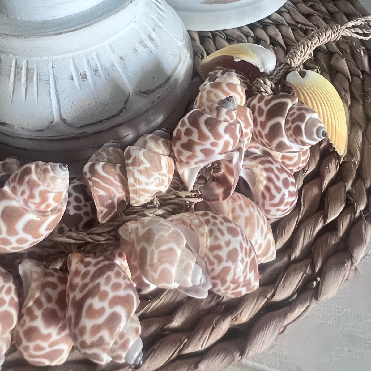 Sea Shell Decor on Raffia Placemat