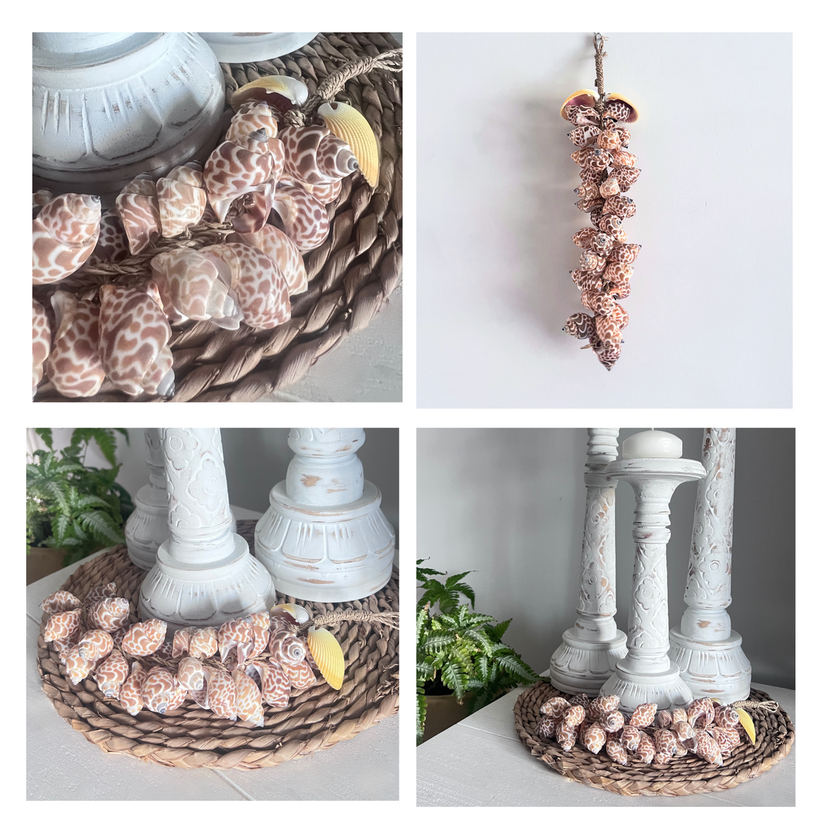 Shell Garland on display