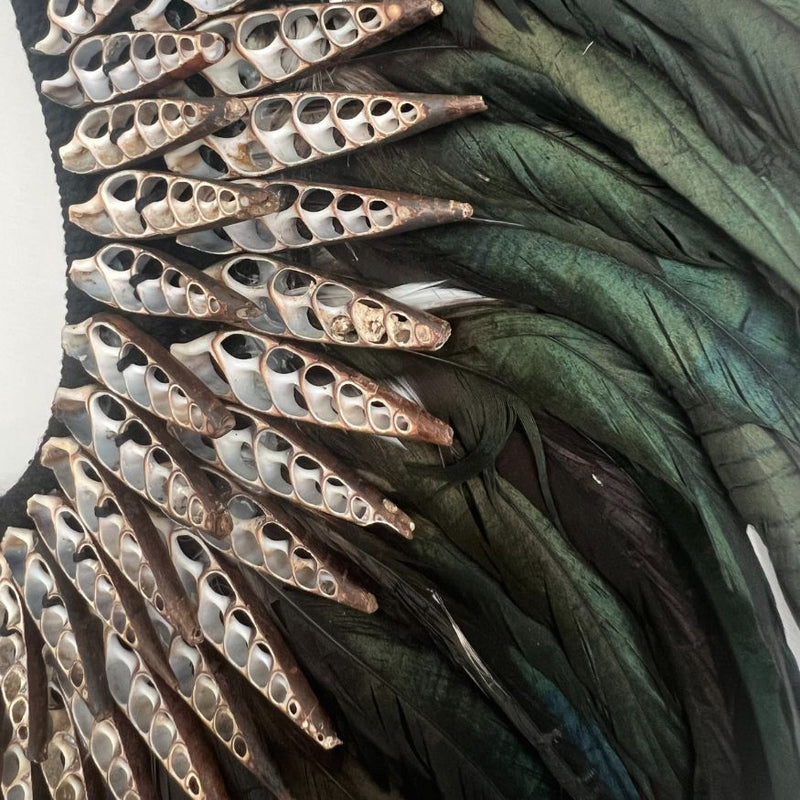 LUNA MOON : Handcrafted Feather and Shell Wall Decor