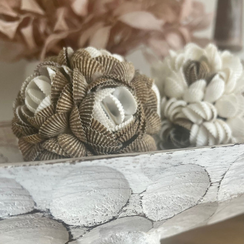 LULU BUNDLE : Wood Tray with Coastal Shell Balls