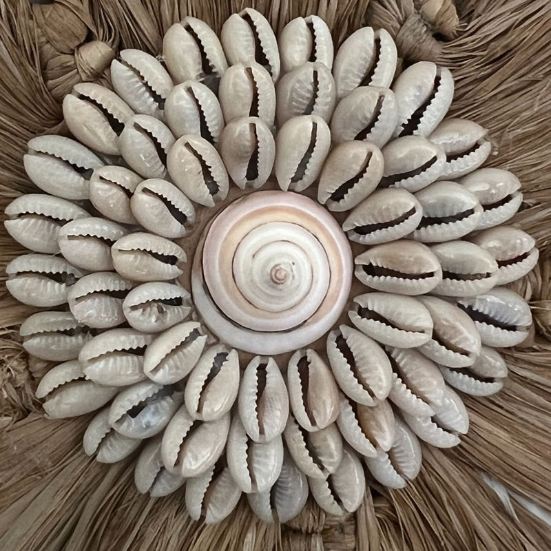 WILLOW : Feather and Shell Wall Decor, Juju
